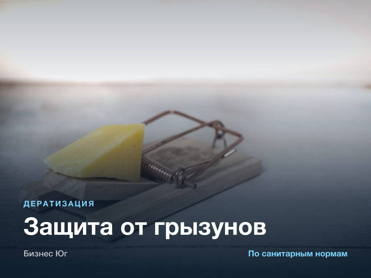 Дератизация