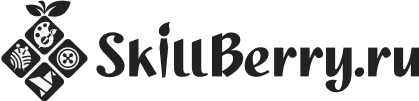 skillberry-logo