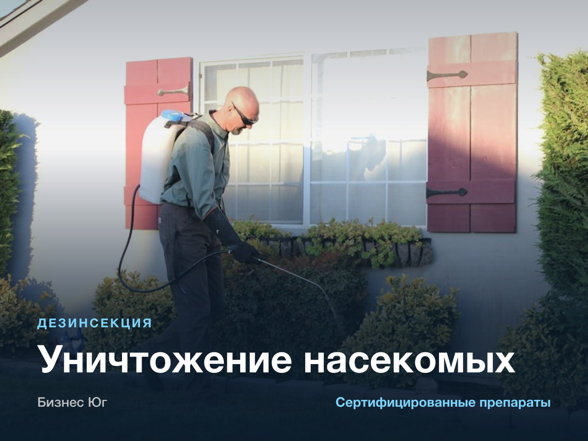 Дезинсекция